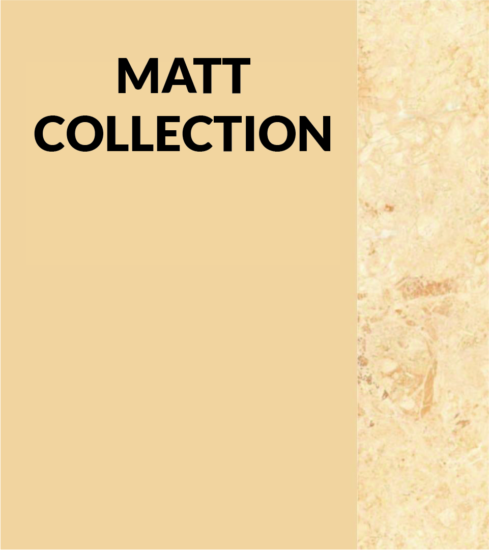 Catalogue